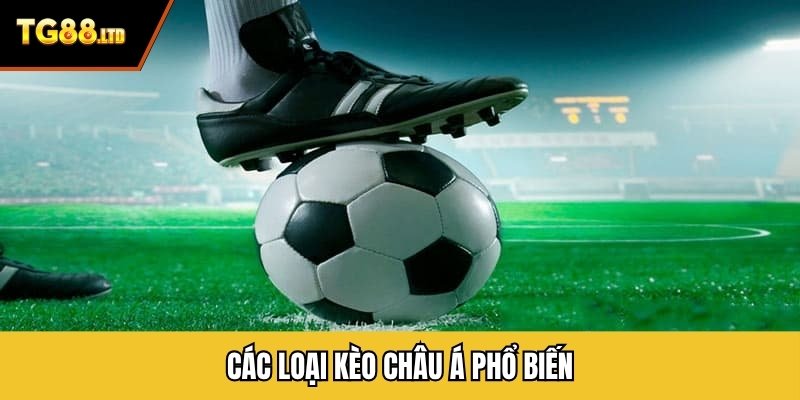 Các loại kèo châu Á phổ biến