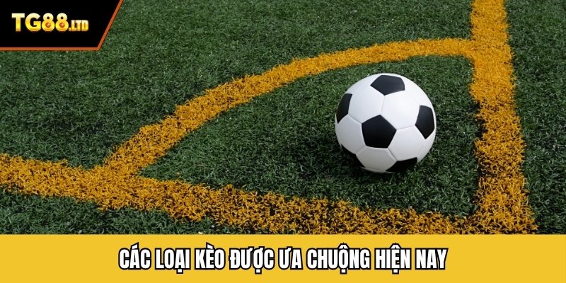 Các loại kèo được ưa chuộng hiện nay