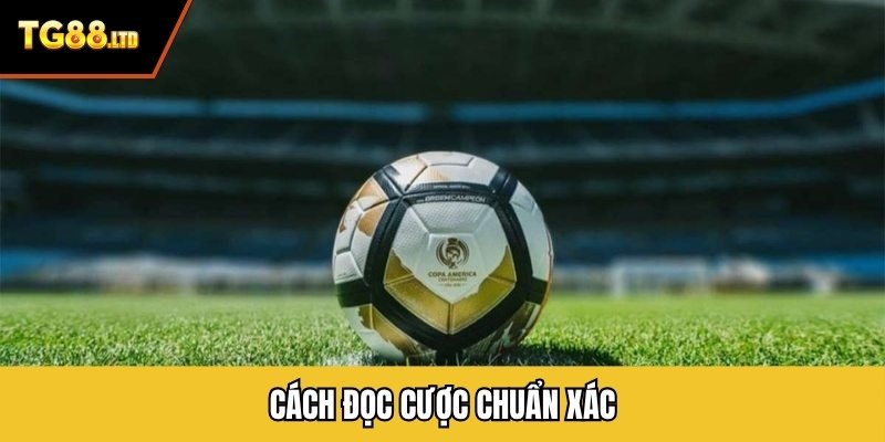 Cách đọc cược chuẩn xác