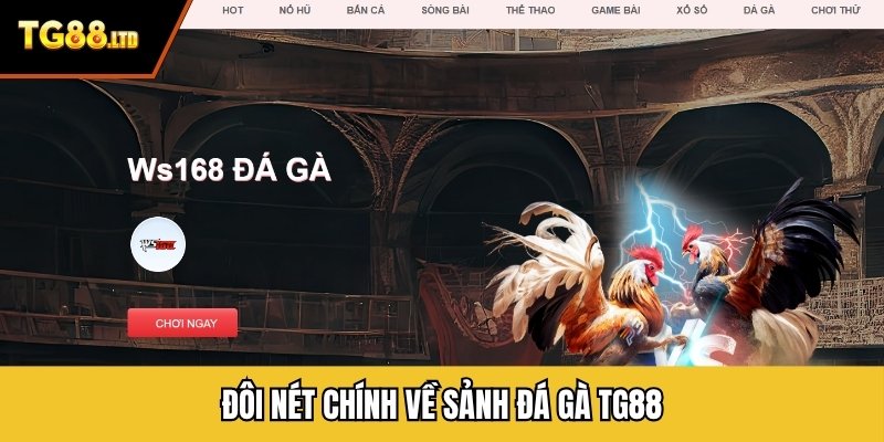 Đôi nét chính về sảnh đá gà TG88