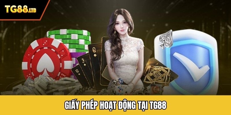 Giấy phép hoạt động tại TG88