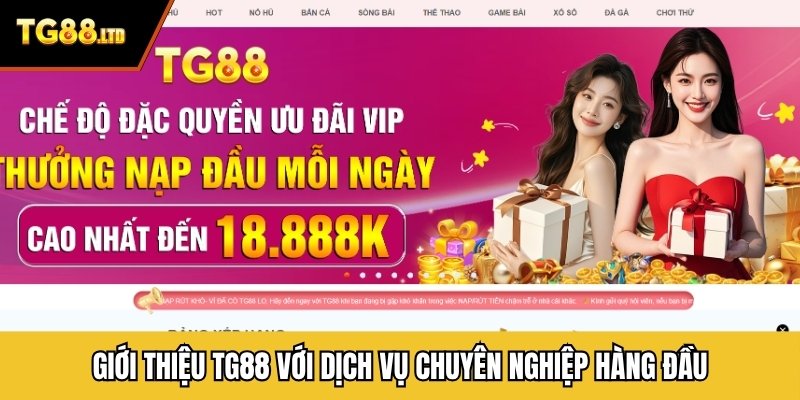 Giới thiệu TG88 với dịch vụ chuyên nghiệp hàng đầu