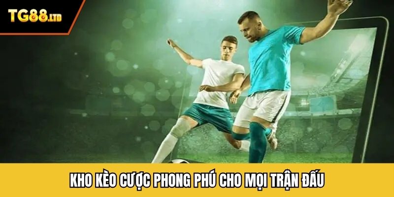 Kho kèo cược phong phú cho mọi trận đấu