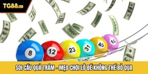 Soi Cầu Quả Trám