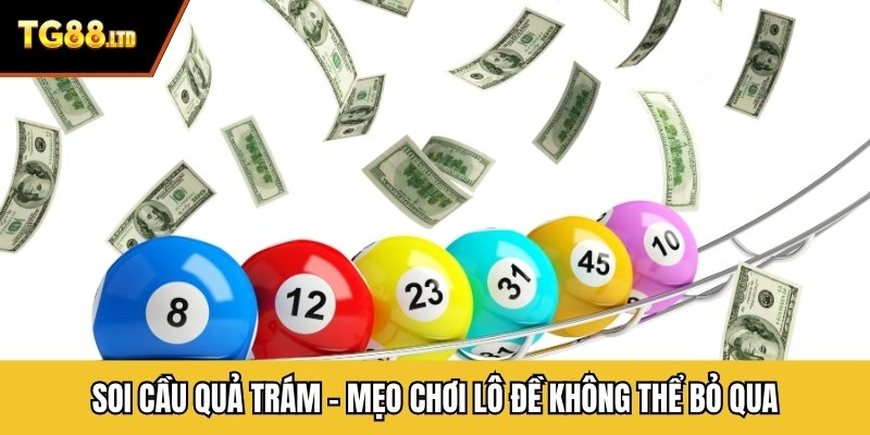 Soi Cầu Quả Trám