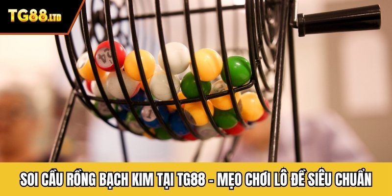 Soi Cầu Rồng Bạch Kim