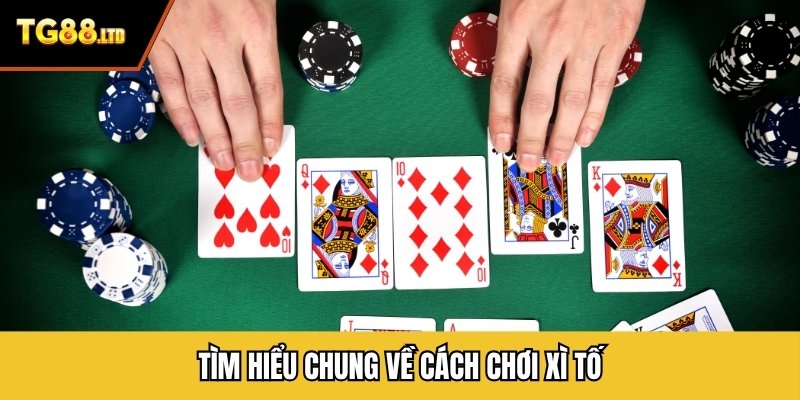 Tìm hiểu chung về cách chơi xì tố
