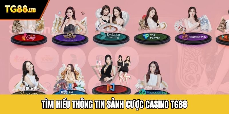 Tìm hiểu thông tin sảnh cược casino TG88