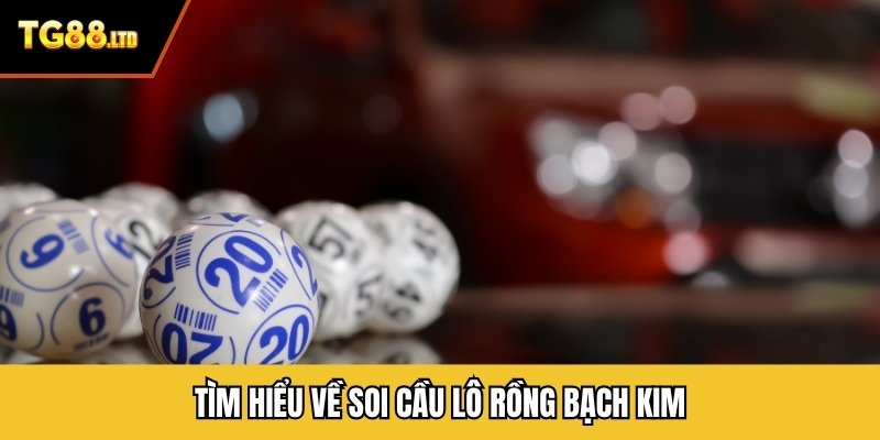Tìm hiểu về soi cầu lô rồng bạch kim